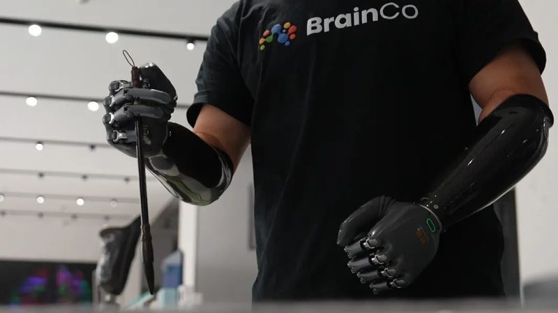 教育机构数字化转型：路径与策略**